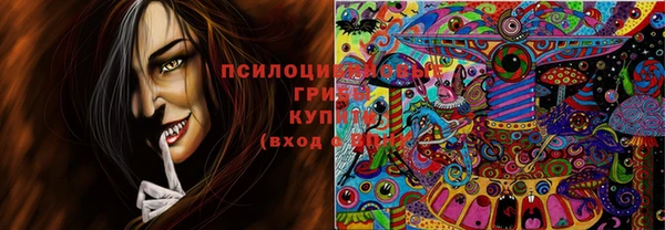 гидра Абинск