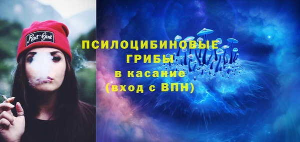 мдпв Абдулино